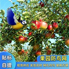 ���B�W���@���o�W����ϩpe�D���WͥԺֲ��ˮ����r�B���W��