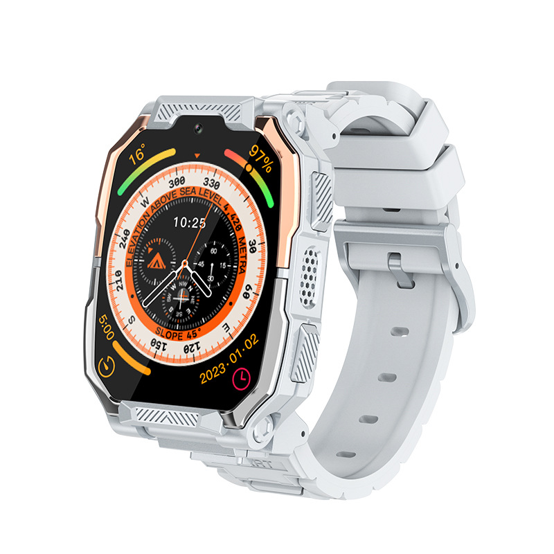 Gray (domestic version)