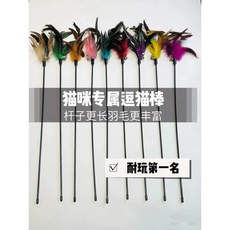 Специальное предложение: удлиненная, устойчивая к укусам пружинная палочка для кошачьего удовольствия, игрушка-колокольчик с перьями, большой изысканный мяч мятного цвета.