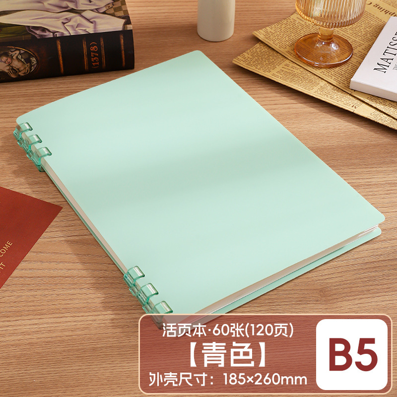 Este cuaderno de hojas sueltas B5 se puede desmontar para reemplazar el núcleo, la portada de las hojas sueltas PP respetuosas con el medio ambiente no presiona el libro de bobinas engrosadas a Mano.