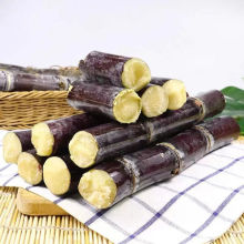 广西黑皮甘蔗斤精选中段新鲜孕妇水果应当季脆甜多汁甜杆蔗特产