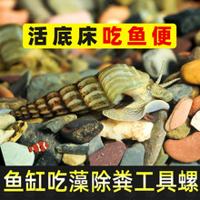 �R�����S���^�p���坍�~�׼S���s�|ˮ�����ˮ�|�ݸ׃�ˮ��ֳ���B