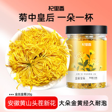 杞里香金丝皇菊大菊花茶20g瓶装一朵一杯黄菊花茶冲泡花果茶批发
