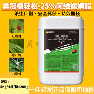 �¹�25%���S�������\�� �߲��¼�����t֩���֩���~�\���x���\��