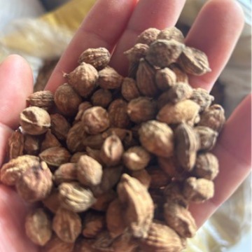 批发益智仁
