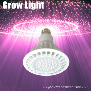 Aȫ���Vpar38 led ֲ�����L��E27���^14W 400lm�a���ֲ���30&deg;