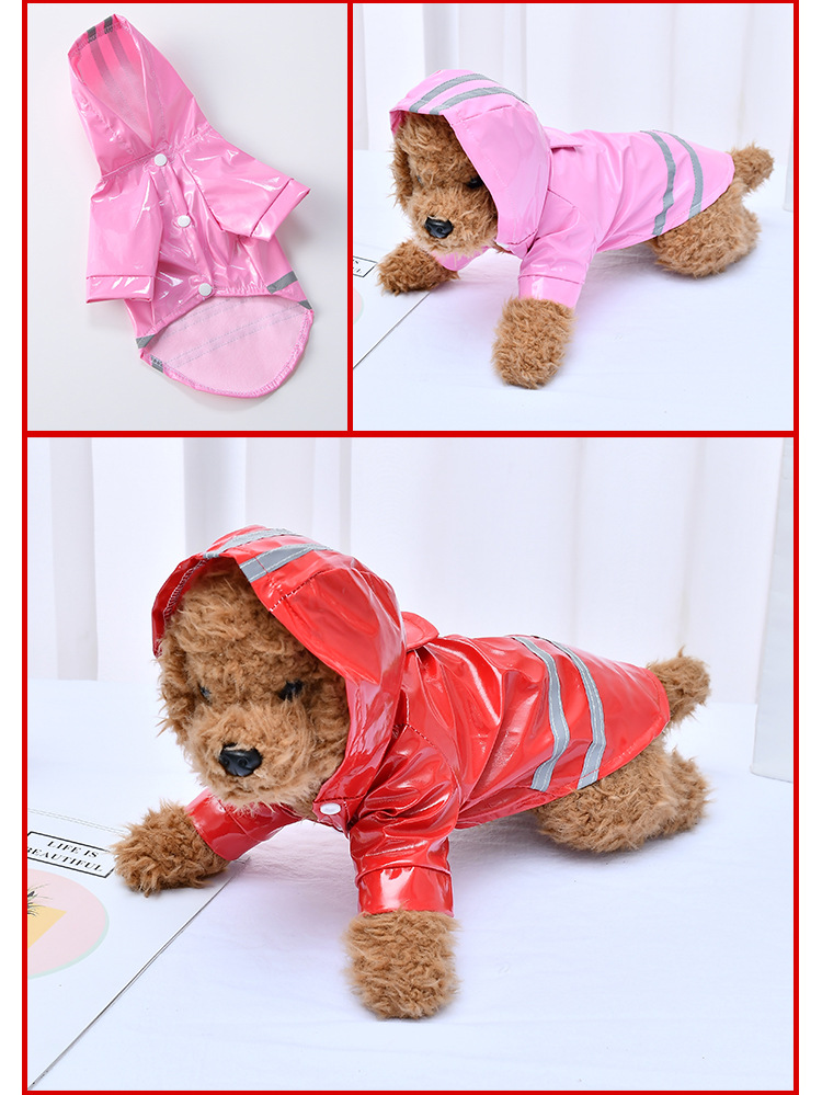 Pet wearing raincoat