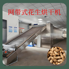 网带花生烘干机连续式全自动落花生干燥机带壳花生果烘干设备