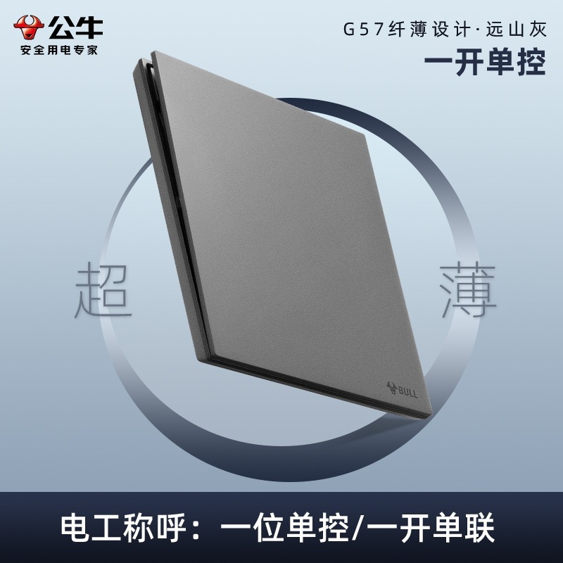 新製品 バタフライウイング 超薄型 ブルg57 ファーリンググレー スイッチコンセントパネル 卸売 壁面g56 隠蔽型USBコンセント|undefined