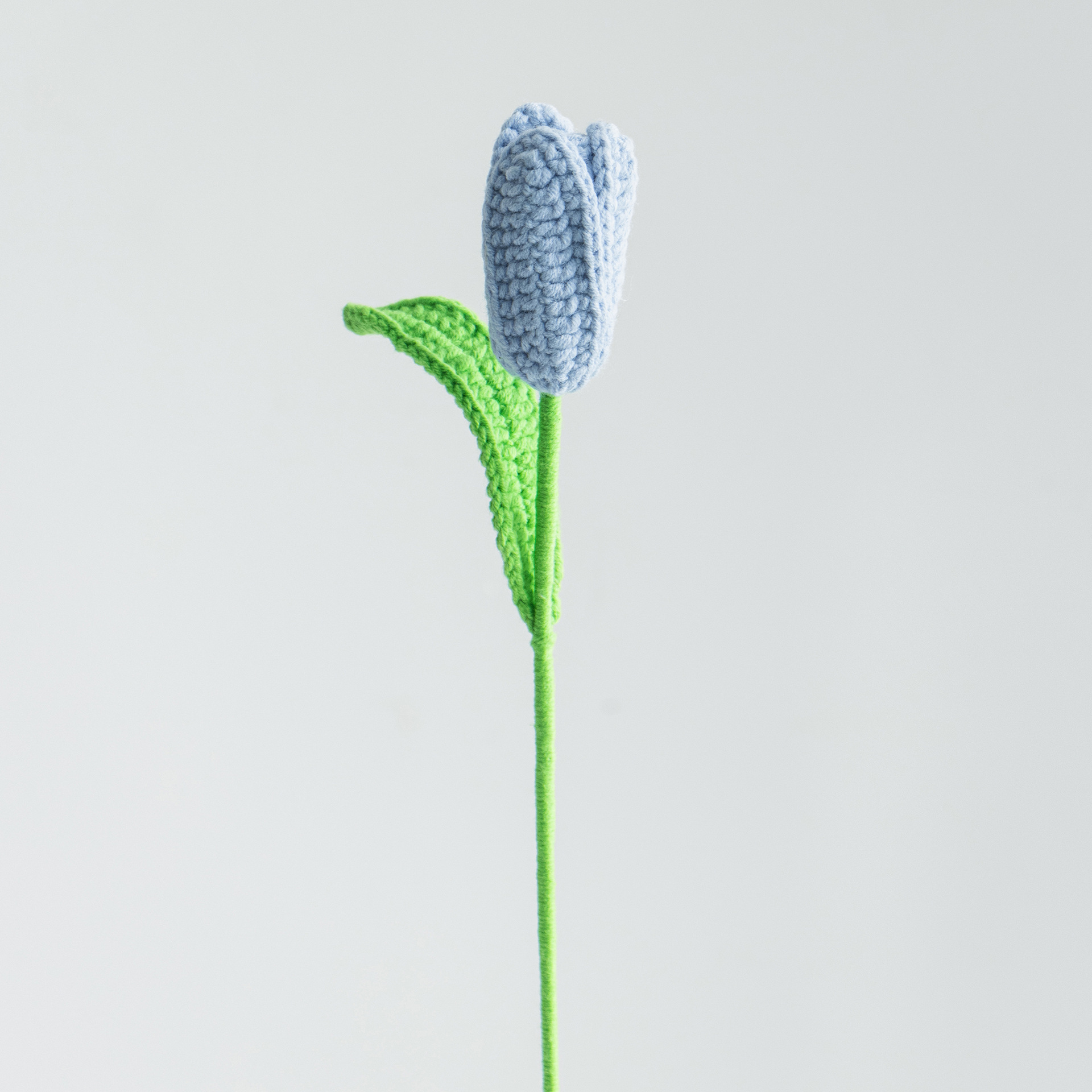 닫힌 튤립 블루