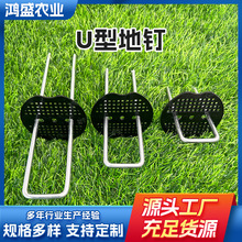 U型地钉草坪钉防草布地钉大棚镀锌地钉三维网工格栅固定钉园艺钉