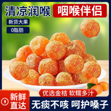 ���ǽ�۸ɸʲݽ��������ɽѩ��500g���b�����Ӹ����T������ʳ