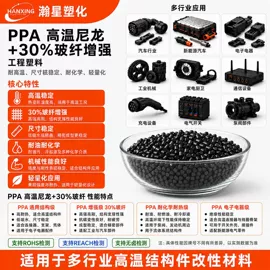 PA6;PA66;PPA