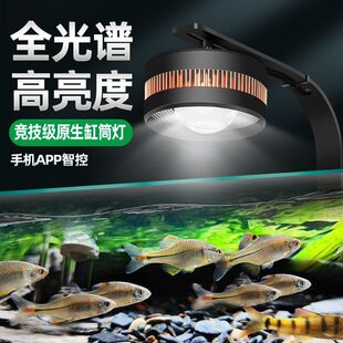 ԭ���B�~��LED��Ϫ���ױ����ȫ���VͲ�����ˮ���~�׌����^�p��