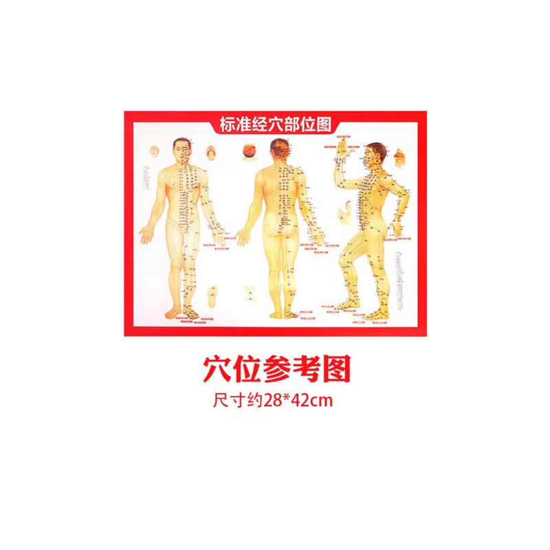 木櫛箱布袋経絡図精油は単拍禁止だよ|undefined