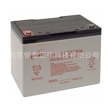 GENESIS늳NP100-12R 12V100AH UPSԴ EPSԴ