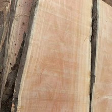 ASG变色龙 甘欧树规格料 家具料  全屋装修 工艺品料 雕刻 全屋整