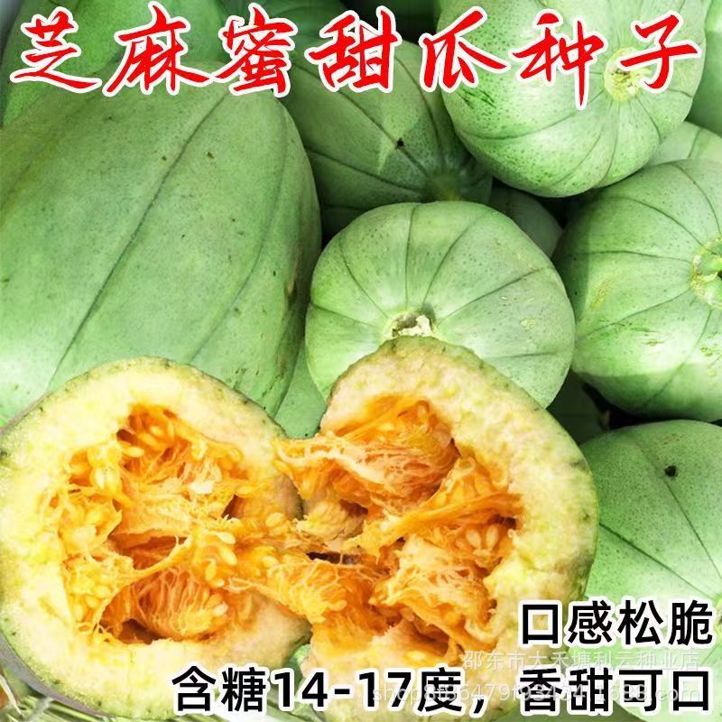 芝麻蜜甜瓜种子绿皮香瓜种子蔬菜种孑种籽四季水果四季种籽春季夏
