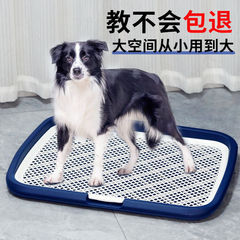 Dog toilet, large dogs go to the toilet, small dogs defecate, dog potty toilet