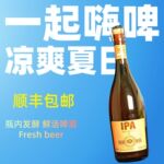 龙回头格兰精酿登堡IPA原浆啤酒原麦汁750箱礼盒