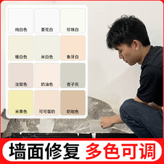 菱花白修理ペーストオフホワイトパールホワイトラテックスペイント補修白壁修理ペースト色調整可能なペイント