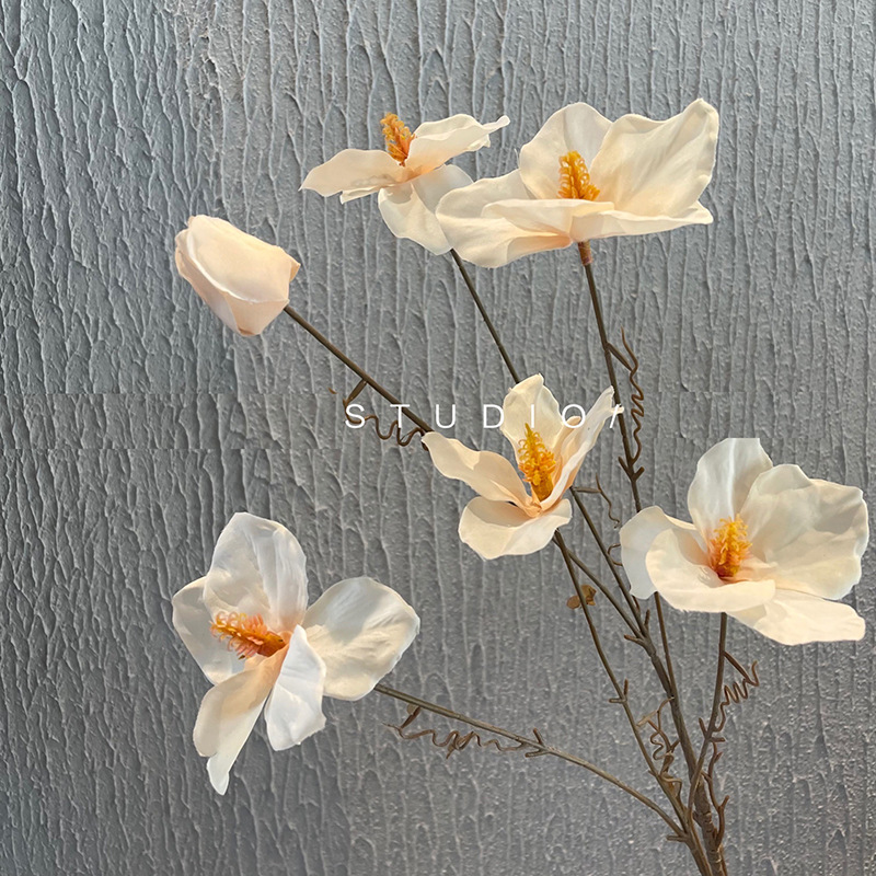 6송이 라일락 - 샴페인