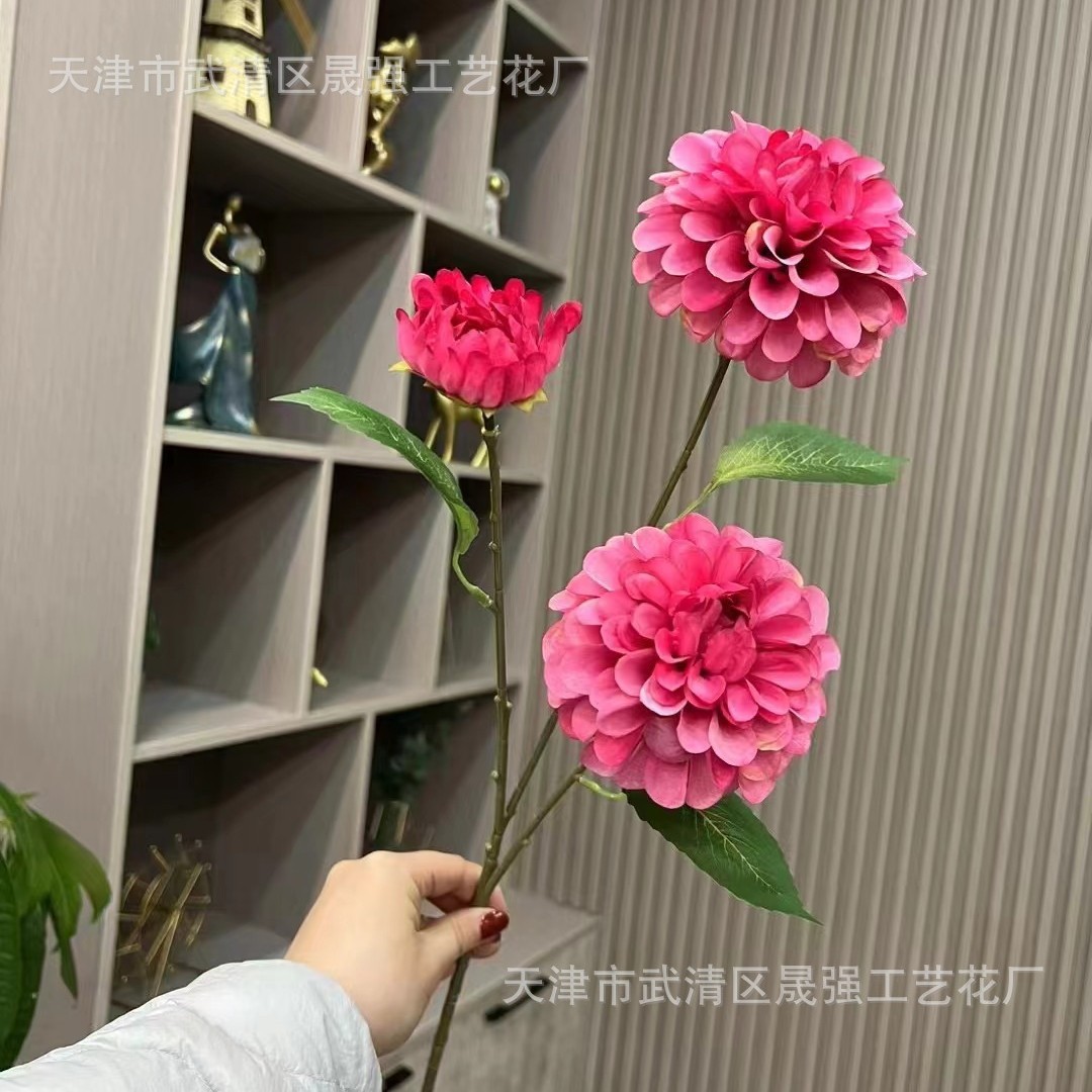 로즈 레드