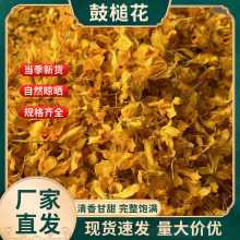 鼓槌石斛花干花云南新花产地大货批发天籽兰花金兰花泡茶非铁皮