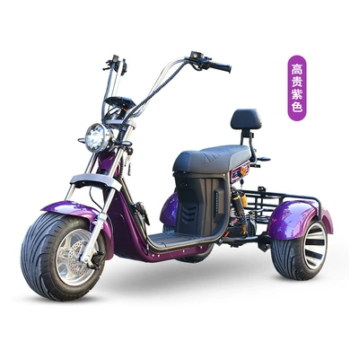 battery scooter lithium battery – Elektrikli motosikletlər - purple-lyt8