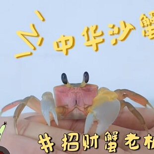 ���Ȍ���С��ɳз���A����������з�ɐ��^�p��С�����������B