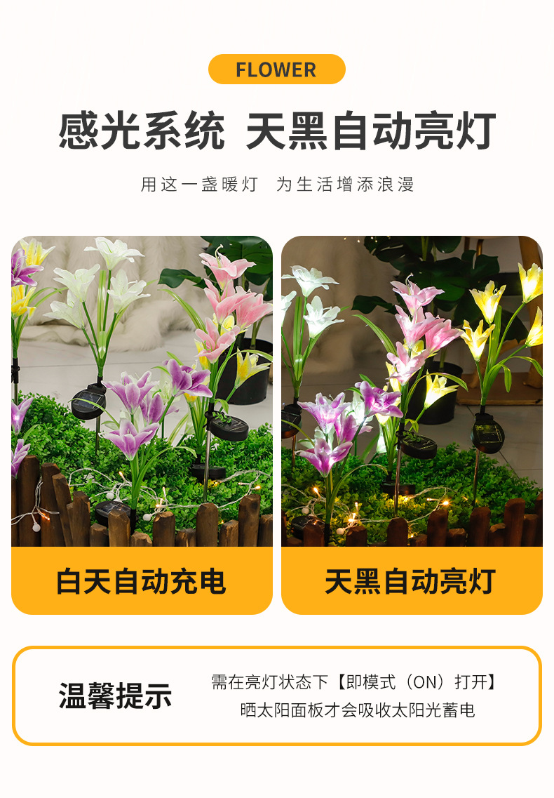 2_05.jpg?x-oss-process=image/format,png