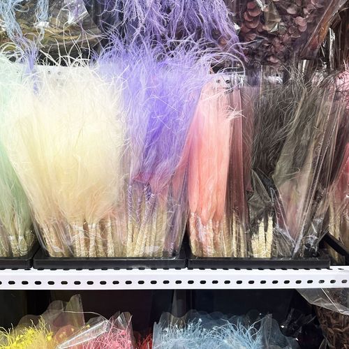 Internet-famous preserved flower long needle feather grass fairy grass dried flower real flower decoration home furnishings photography props materials wholesale