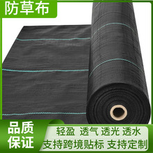 ���l�w���羳���ݹ��@�@�زݲ����ͷ����B�����ڲݵ�Ĥ�r�ò�