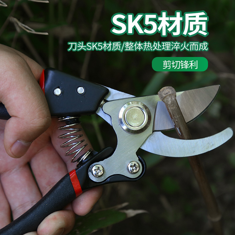 Ganar grandes tijeras de rama de fruta que ahorran trabajo tijeras de podar multiusos SK5 forjó tijeras de rama gruesa Tijeras de podar florales de jardín verde