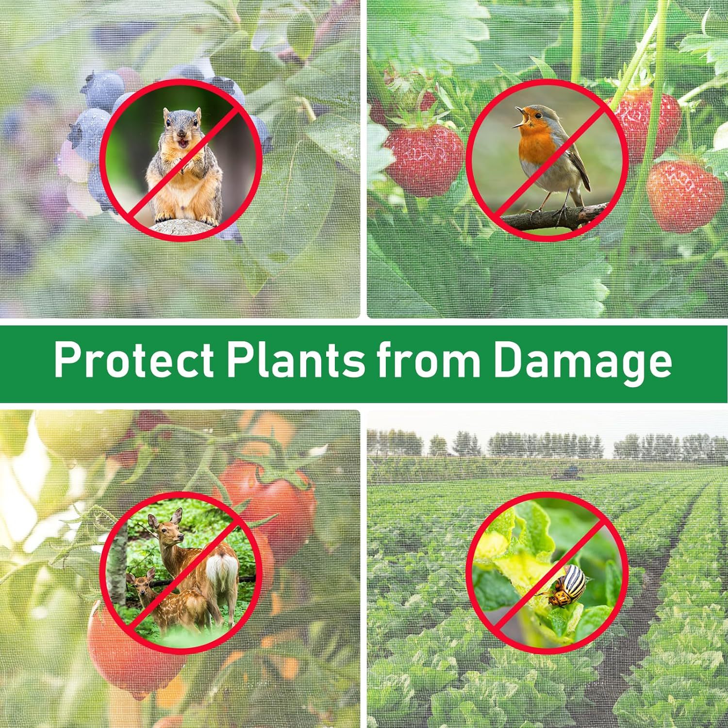 81uY2PP8KsL._AC_SL1500_