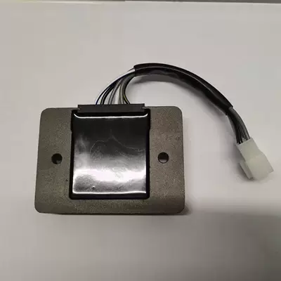 Electronic regulator for electronic regulator
