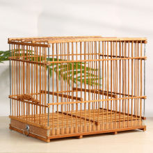 秀眼鸟】_秀眼鸟品牌/图片/价格_秀眼鸟批发_阿里巴巴