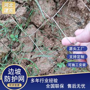 Hot-Dip Galvanized Wire Diamond-Shaped Hook Mesh Mine Spraying Grass Planting Slope Protection Wire Mesh Slope Greening Spraying Protective Net