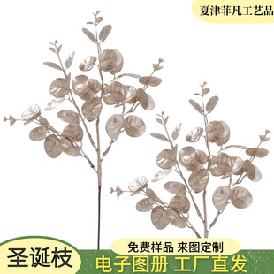 �羳����34cm�}�Q������}�Q���}�Q�b�Ʒ��{�}�Q֦