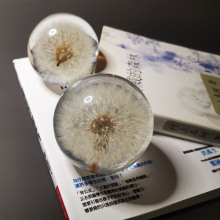 跨境家居装饰蒲公英标本水晶球夜灯摆件生日送女友毕业季礼物