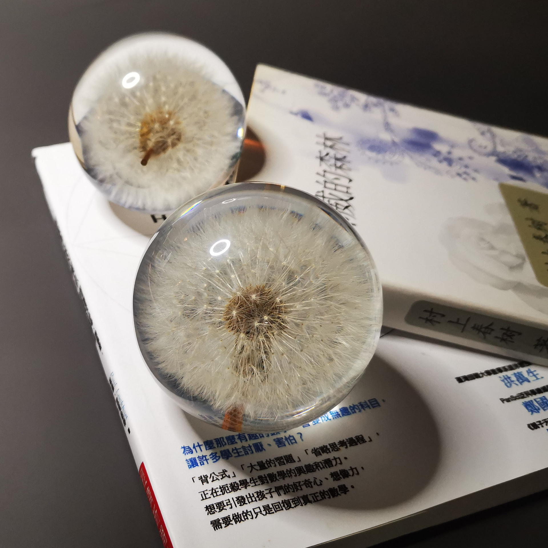 跨境家居装饰蒲公英标本水晶球夜灯摆件生日送女友毕业季礼物
