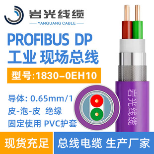PROFIBUS  DP��|1830-0EH10 �ιɹ̶�����  ��ɫ2о���� 0.65/1