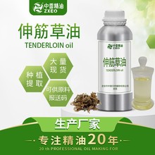 厂家供应伸筋草油单方精油中药油伸筋草精油 日化原料 量大价优