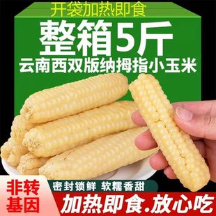 ���p��{��ŴĴָС������ָ����������r��Ŵ��Ŵ����Ĵָ���װ�