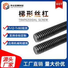 ���νz�ܬF؛����1��45#�{���ݗUT20�ڽz�����z�Ut��ȫ�ݼy����