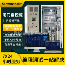 PLC控制柜成套定制水处理编程泵站LCU隧道管廊ACU自控柜低压电箱