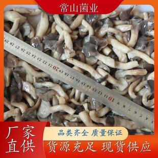 �}�n���� Ģ�����a���ع��� �Ƶ����^������ζ �S�����l