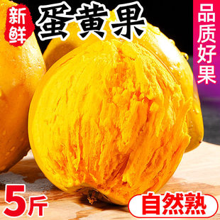 ���S��5�����r�u�����{�^���ҙ쮔���Ꭷˮ���خa�ЋD����
