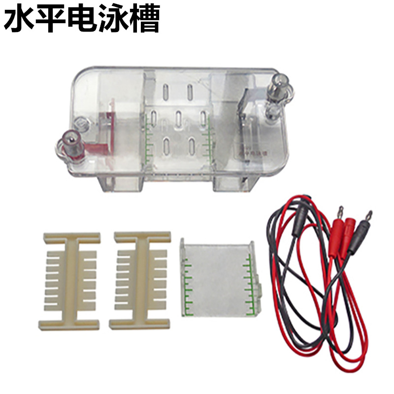 J27022水平电泳槽高中生物实验器演示仪老师学生具新课标习教学校
