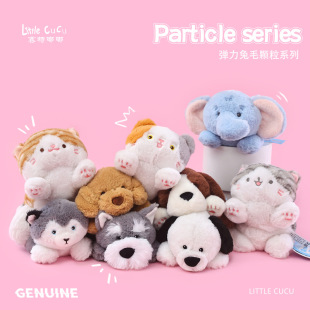 ����ِ���ཏ�����ë�w��؈ë�q��ż��ͯ���ﹷ�����жY�����